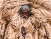 A man carries bundles of jute fiber in Manikganj, Bangladesh, showcasing traditional agriculture.