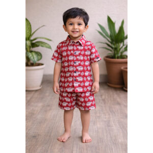 Kids Cotton Co-ord Set – Red Elephant Hand Block Print 🐘