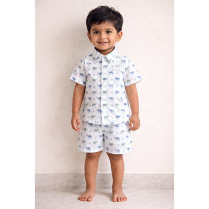 Kids Hand Block Printed Cotton Co-ord Set – Cute Owl Print | Half Sleeve Shirt & Shorts