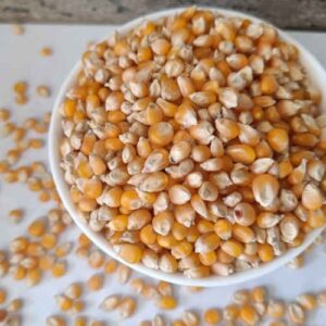 Corn (Mokkajonna)