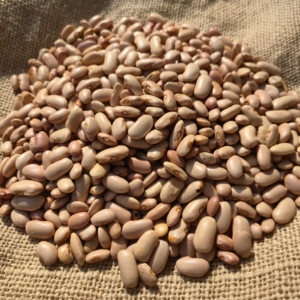 Rajma White - Kidney Beans