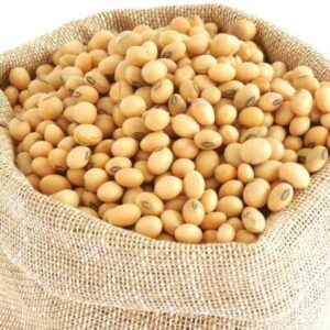 Soya Beans